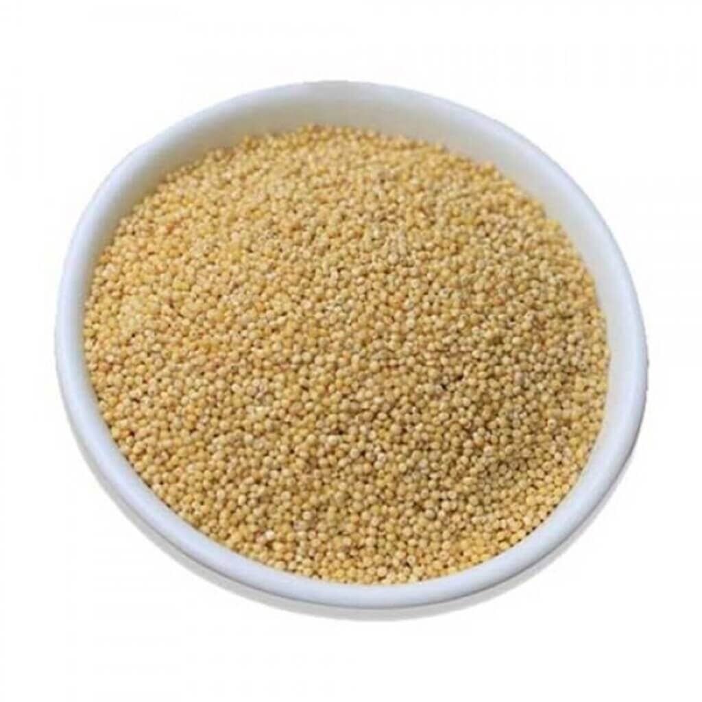 Thinai Millet